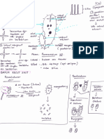 TUGASAN BIOLOGI PRESENTATION