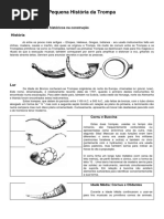 Embocadura de Instrumentos Da Família Dos Metais Gerly