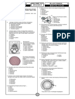 Soal UH Jaringan Tumbuhan Tipe 1