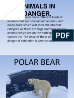 Animals in Danger-2