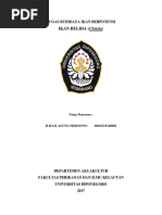 Download ikan belida  by Ilham Agung Hernowo SN359818341 doc pdf