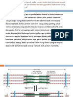 LKM Otot Nomor 1 Dan 2