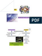 Proteínas y Ácidos Nucleicos 2017 (1).pdf