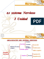 El Sistema Nervioso22 1