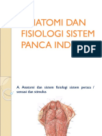 Anatomi Dan Fisiologi Sistem Panca Indra