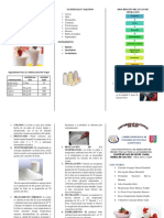Triptico Elaboracion de Yogurt