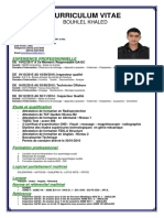 CV PDF