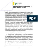 9_Auditoriassalud ocupacional gestion.pdf