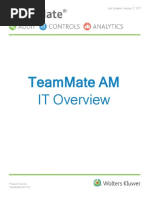 Team Mate+AM+IT+Overview+12