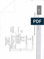 Finasterida Liviu 2 Slide-uri