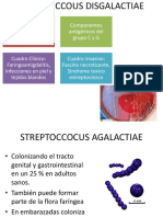 STREPTOCCOUS DISGALACTIAE.pptx