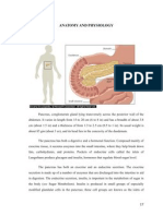 Anatomy and Physiology: Pancreas