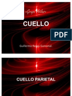 Anatomia Humana - Cuello Parietal - Grupo Atlas