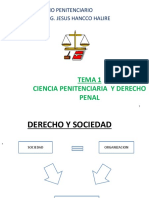 DERECHO PENITENCIARIO DIAPOSITIVAS 1ra 2da Y 3ra PARTE