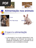 Alimentação nos animais.ppt