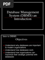 Database Management System (DBMS) An