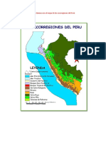 Dibuja o Pega Una Lámina Con El Mapa de Las Ecorregiones Del Perú