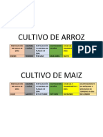 Cultivo de Arroz