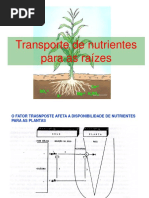 Transporte de Nutrientes Para Raíz
