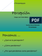 Percepcio Visual