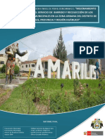 Proyecto de Inversión Pública(PIP) Amarilis-Huánuco