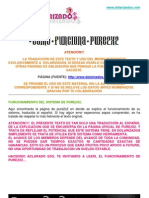 Como Funciona Pure2x2 - Manual en Español