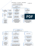 Mapa de Lineamientos Del Cte