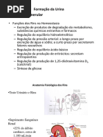 AULA 02 - Formação_da_Urina