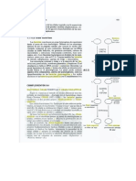 Bacterias Gram Positivas y Gram Negativas