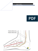 Approach - More Detail: Midfoot - Midfoot, Intertarsal Fractures