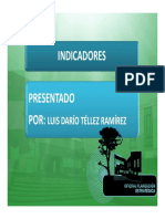 indicadores (1).pdf