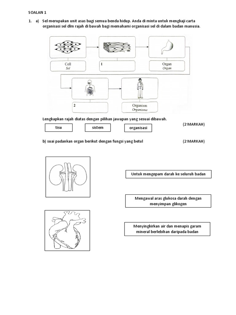 Soalan Sains Pat Ting 1