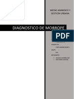 Analisis de Medio Ambiente y Gestion de La Ciudad de Morrope