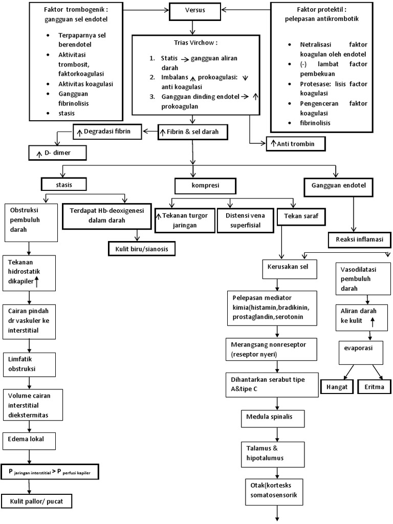 Patofisiologi Deep Vein Thrombosis | PDF
