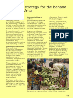 A 10-Year Strategy For The Banana Sector in Africa: From Priorities To Action