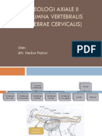 OSTEOLOGI AXIAL II - New - PDF