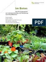 Oasen Im Beton - Carlos Tobisch PDF