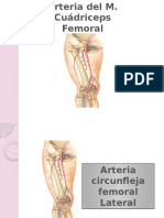 cuadreceps femoral.pptx