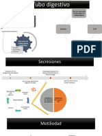 Tubo digestivo farmoco.pptx