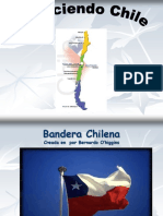 Bandera, fauna y cultura de Chile