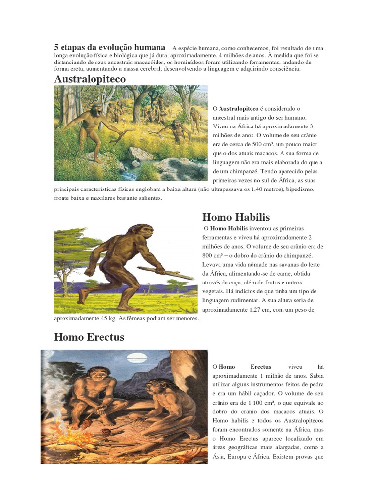 Ao Estudar A Evolução Da Espécie Humana Moderna