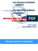 Universidad Privada Antenor Orrego: Metabolismo de Compuestos Nitrogenados