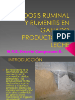 Acidosis Ruminal