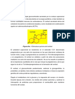 Seminario 08 - Metabolismo Del Cortisol