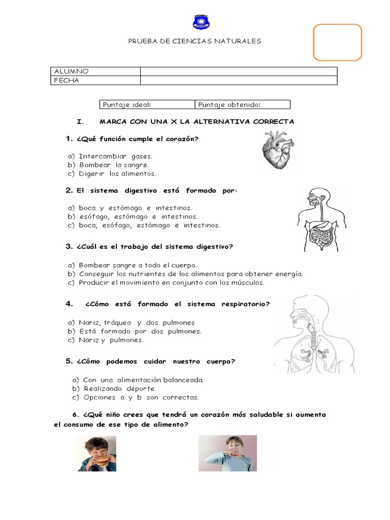 prueba sistemas del cuerpo humano.docx Pulmón
