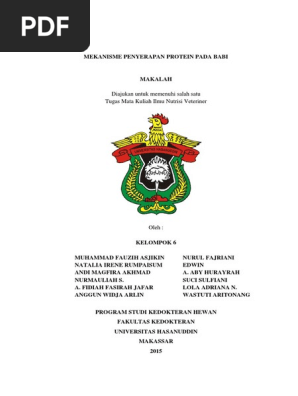 Mekanisme Penyerapan Protein Pada Babi 1 Docx