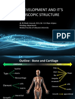 3.1 Bone Development and It's Microscopic Structure