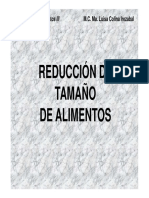 Red Tam Solidos Intro PDF