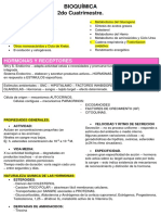 Bioquimica Metabolismo