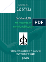 Gas Nyata-Sulies PDF